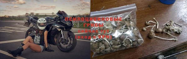 молекула духа Богородицк