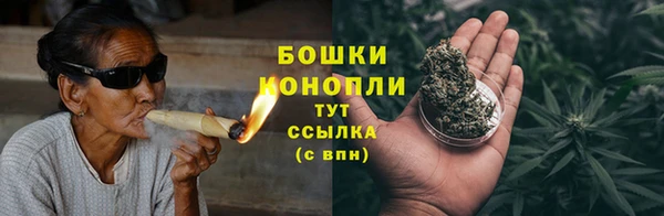 молекула духа Богородицк