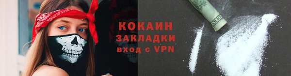 молекула духа Богородицк