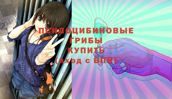 молекула духа Богородицк