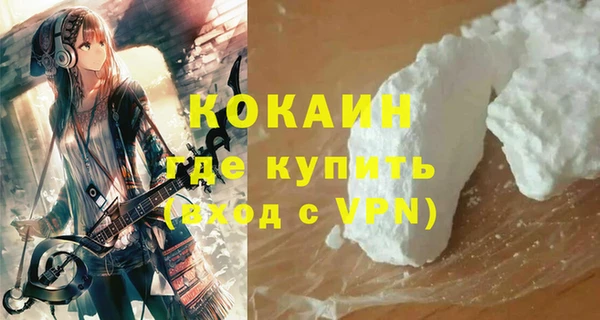 молекула духа Богородицк