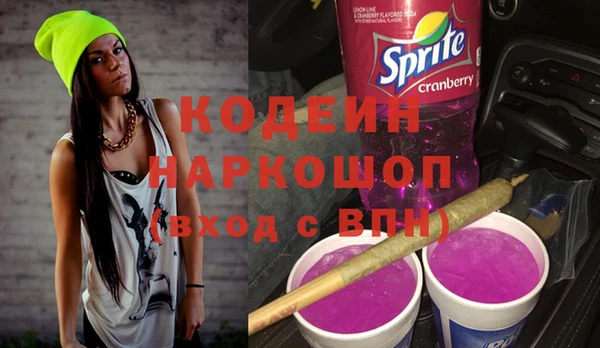 молекула духа Богородицк