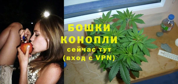 соль ск Богданович