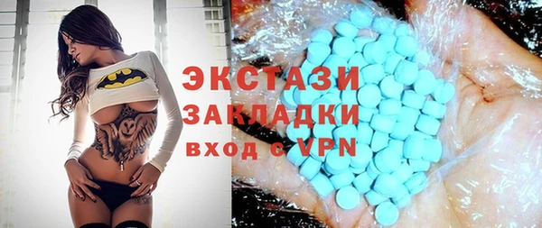 молекула духа Богородицк