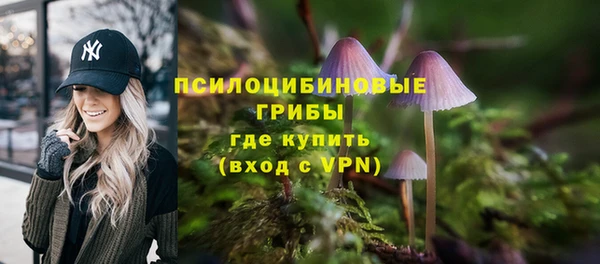 соль ск Богданович
