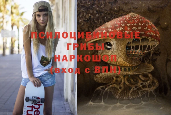 молекула духа Богородицк