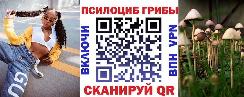 Псилоцибиновые грибы Psilocybine cubensis  сколько стоит  Сковородино 